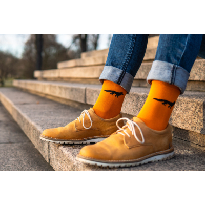 Ponožky Liška- Lesotriko
